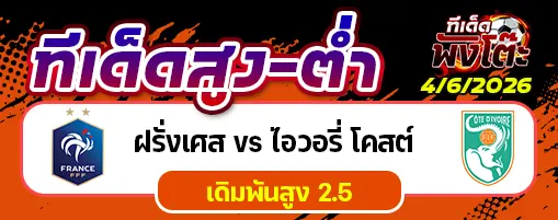 ฝรั่งเศส vs ไอวอรี่ โคสต์