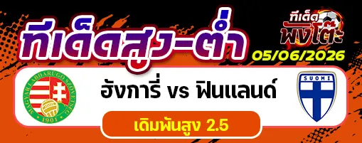ฮังการี่ vs ฟินแลนด์