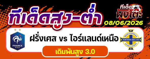 ฝรั่งเศส vs ไอร์แลนด์เหนือ