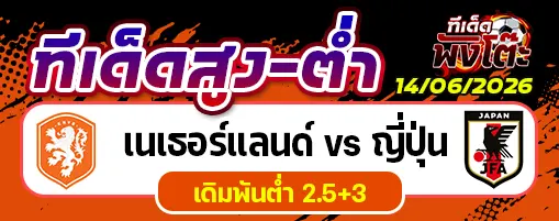 เนเธอร์แลนด์ vs ญี่ปุ่น