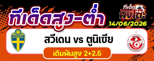 สวีเดน vs ตูนิเซีย
