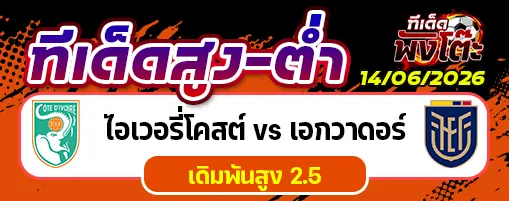 ไอวอรี่ โคสต์ vs เอกวาดอร์