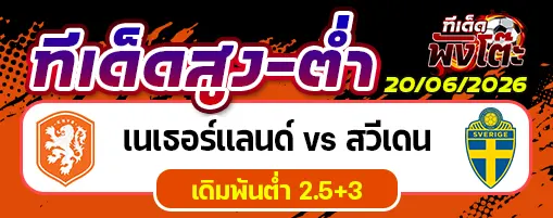 เนเธอร์แลนด์ vs สวีเดน