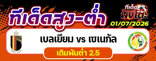 เบลเยียม vs เซเนกัล