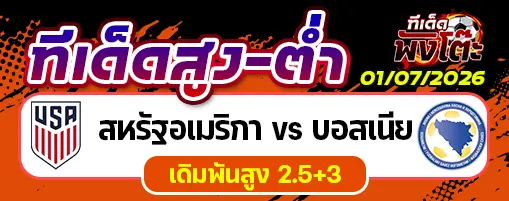 สหรัฐอเมริกา vs บอสเนีย