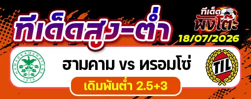 ฮามคาม vs ทรอมโซ่