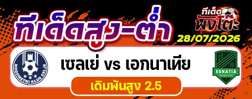 เซลเย่ vs เอกนาเทีย