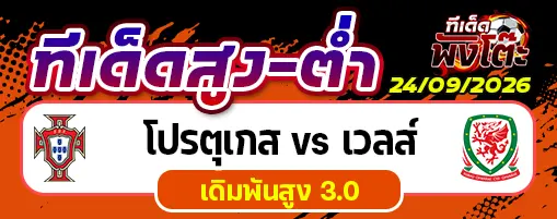 โปรตุเกส vs เวลส์